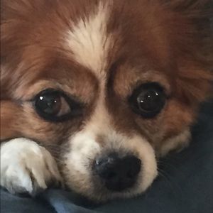 Meet your Posher, Claudia